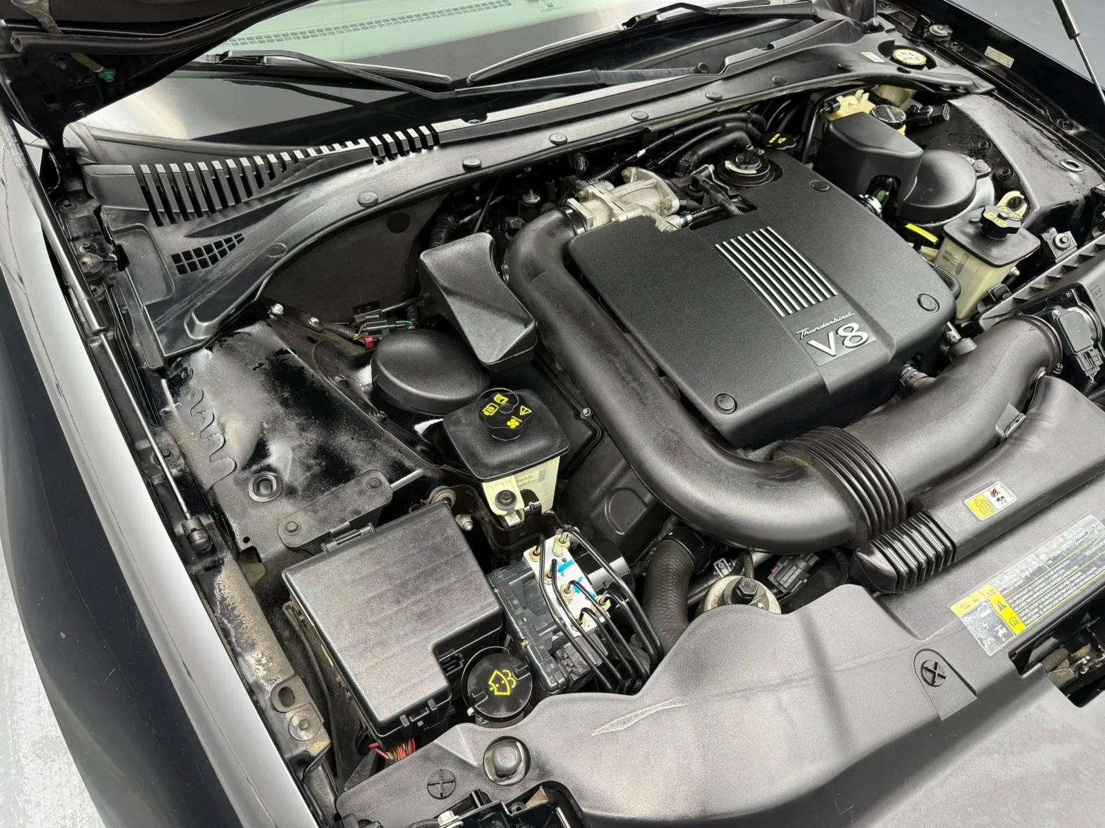 Used 2002 Ford Thunderbird RWD image 13