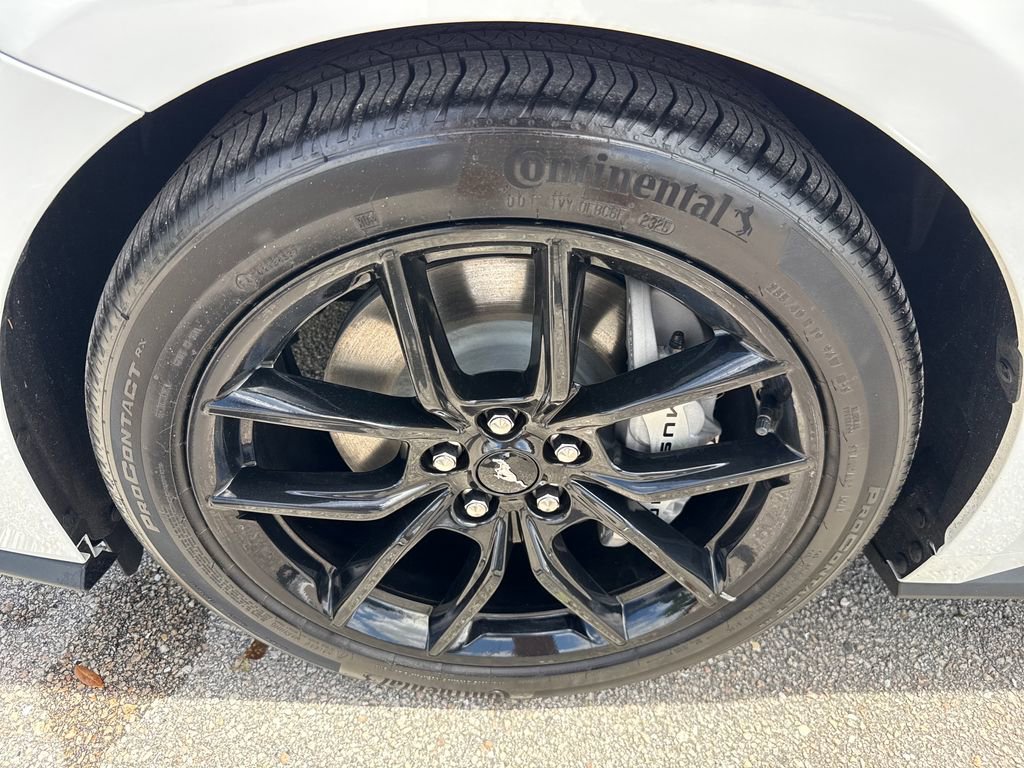 Used 2025 Ford Mustang GT Premium w/ Mustang Nite Pony Package image 12