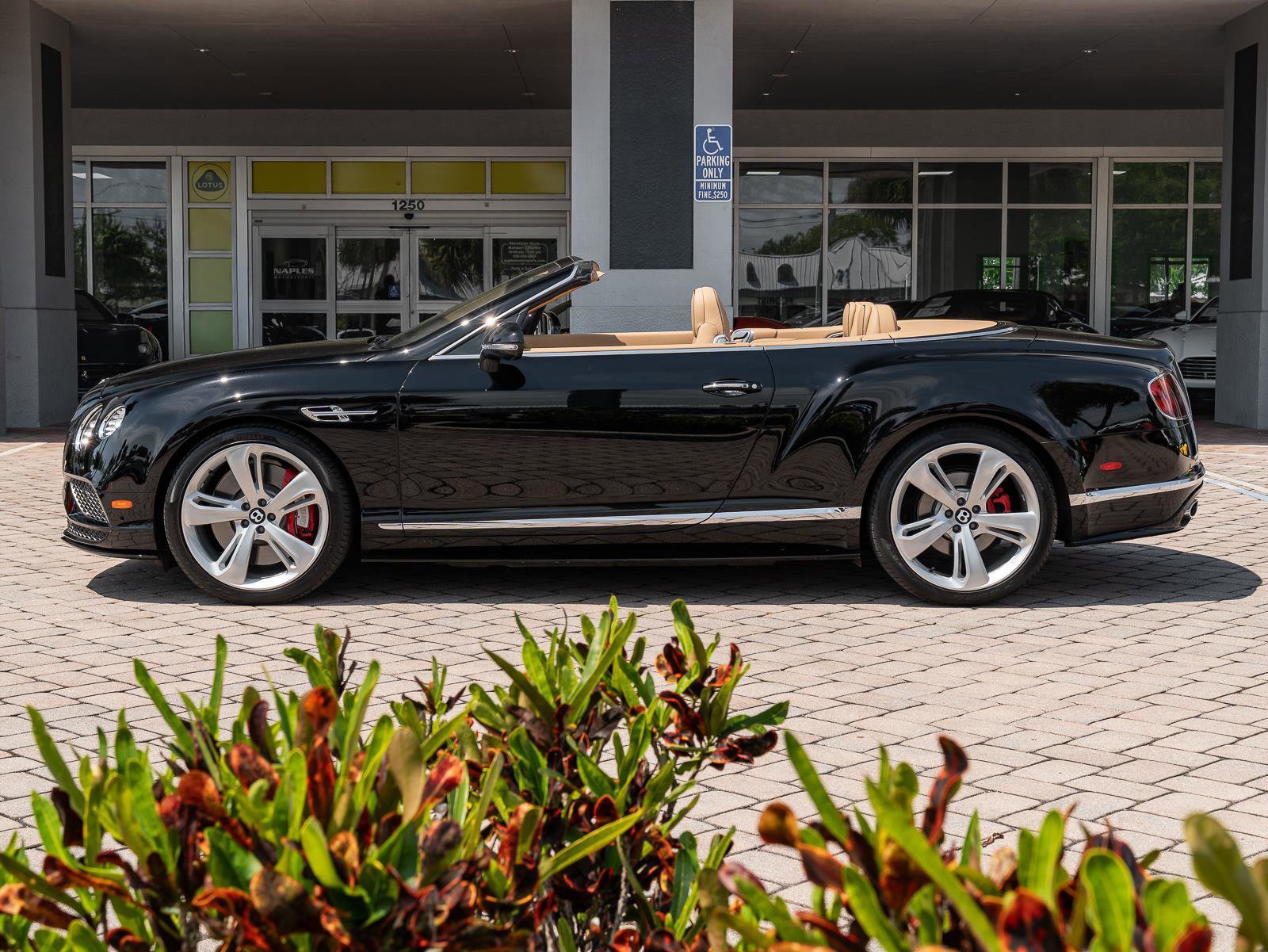 Used 2016 Bentley Continental GT Speed image 30