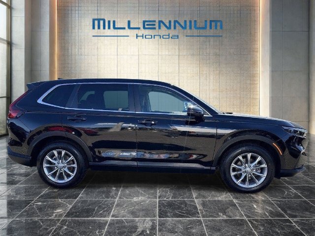 Used 2024 Honda CR-V EX-L image 5