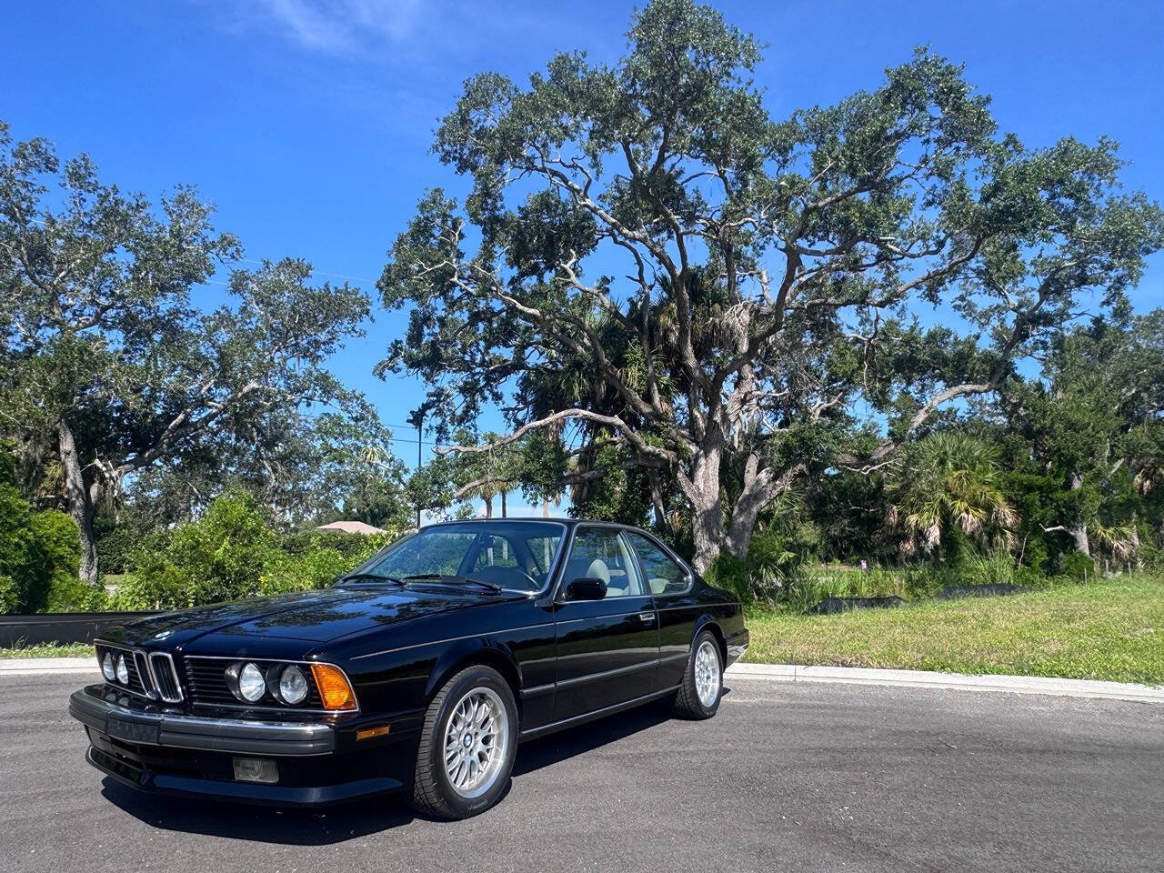 Used 1988 BMW 635CSi Coupe RWD image 3