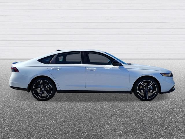 New 2026 Honda Accord Sport image 6