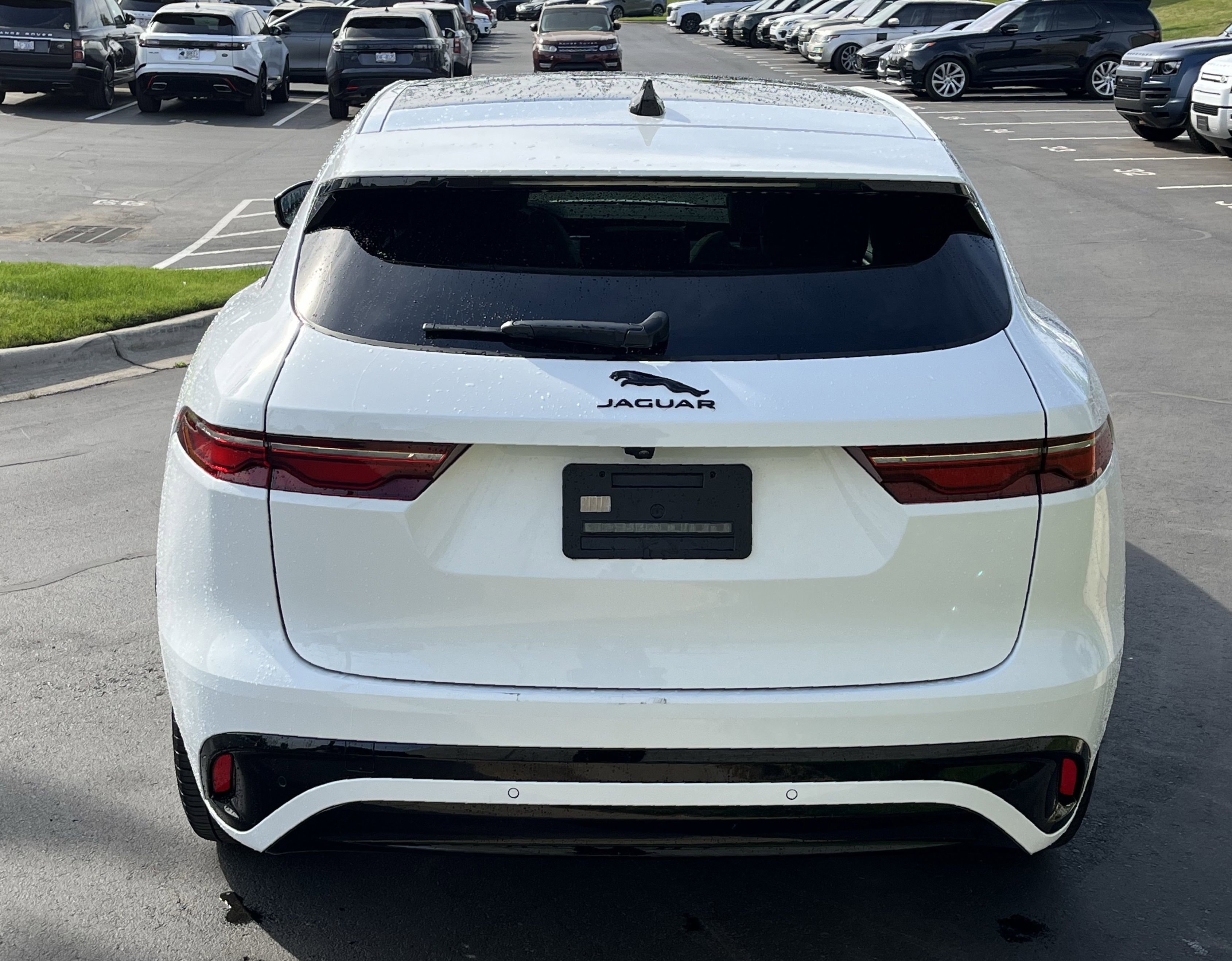 Used 2025 Jaguar F-PACE R-Dynamic S image 6