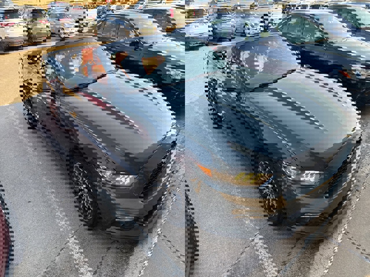 Used 2016 Ford Mustang Premium image 3