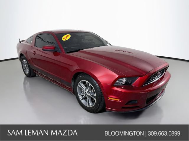 Used 2014 Ford Mustang Premium w/ Equipment Group 201A RWD image 1