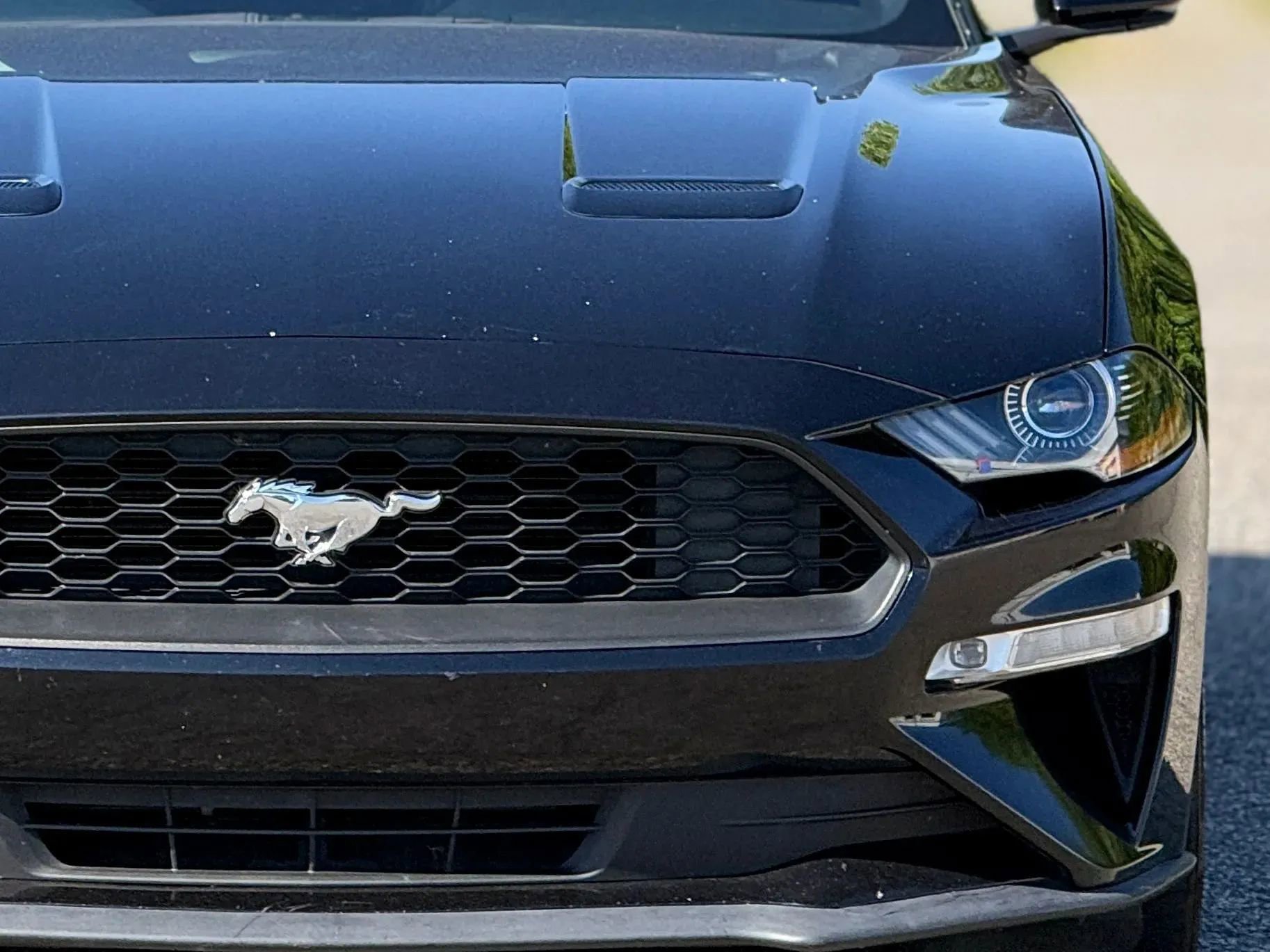 Used 2018 Ford Mustang Premium RWD image 12
