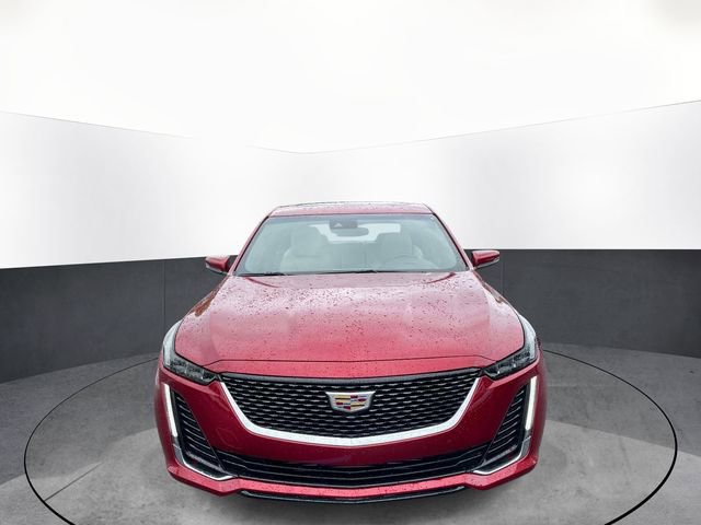 Used 2021 Cadillac CT5 Luxury w/ Sun And Sound Package RWD image 2