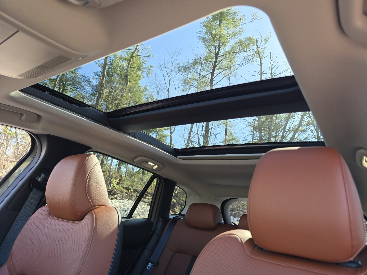 Used 2025 MAZDA CX-50 2.5 Turbo w/ Premium Plus Pkg image 12