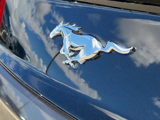 Certified 2017 Ford Mustang Premium w/ Equipment Group 201A RWD image 10
