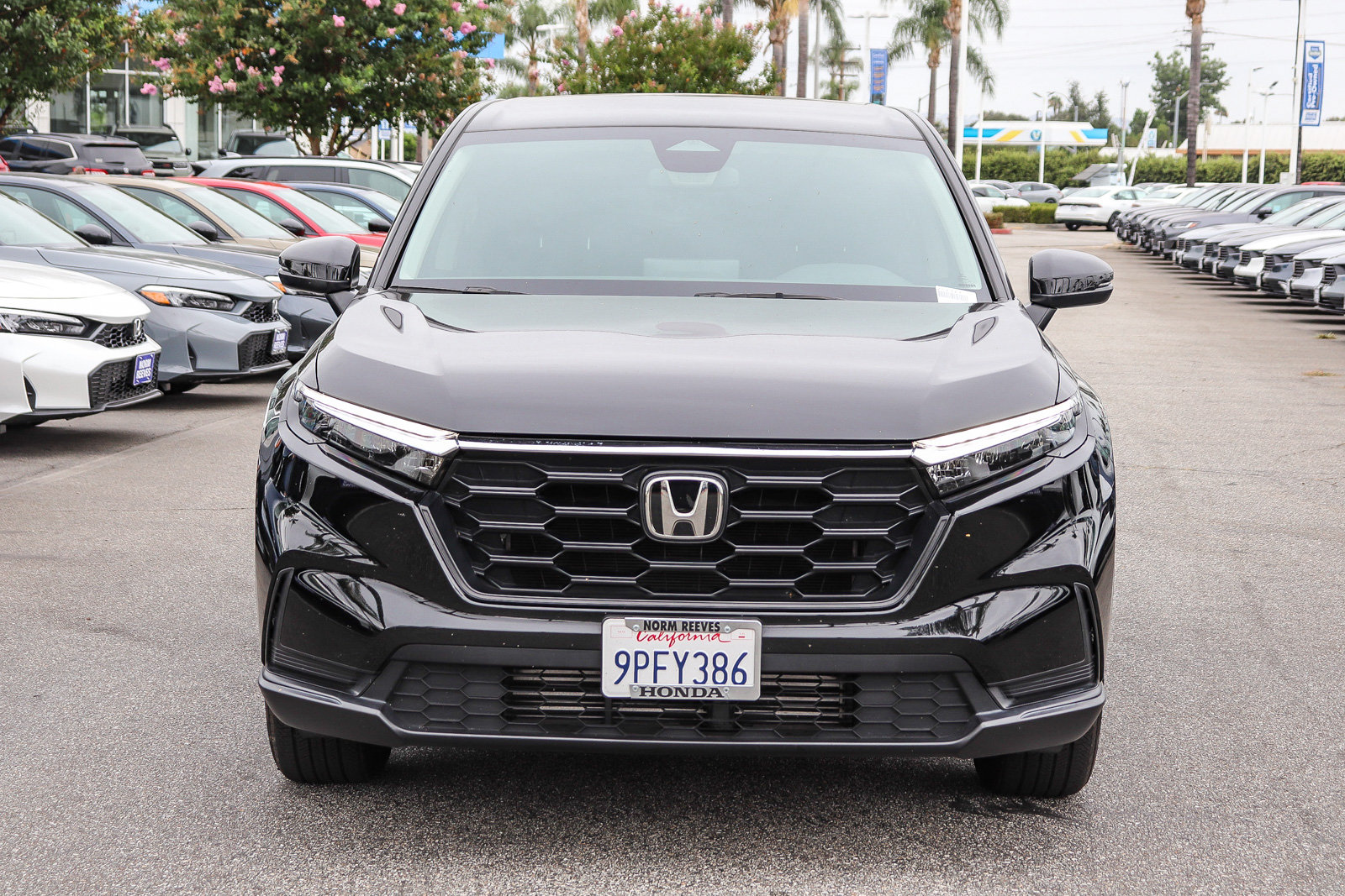 Used 2025 Honda CR-V LX image 2