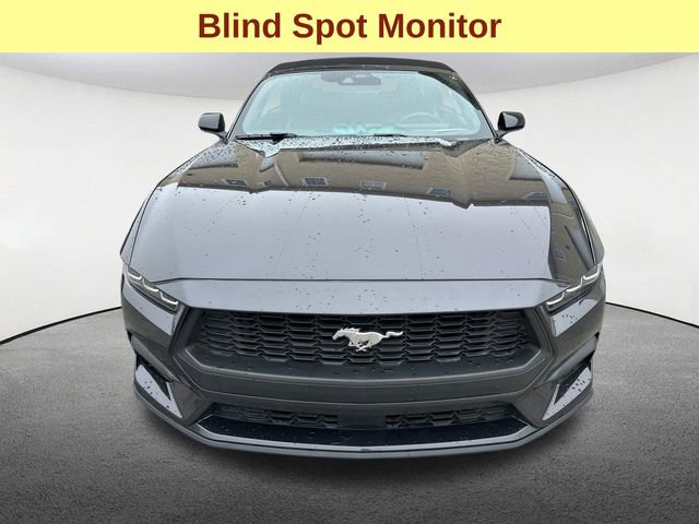 Used 2024 Ford Mustang Premium RWD image 3