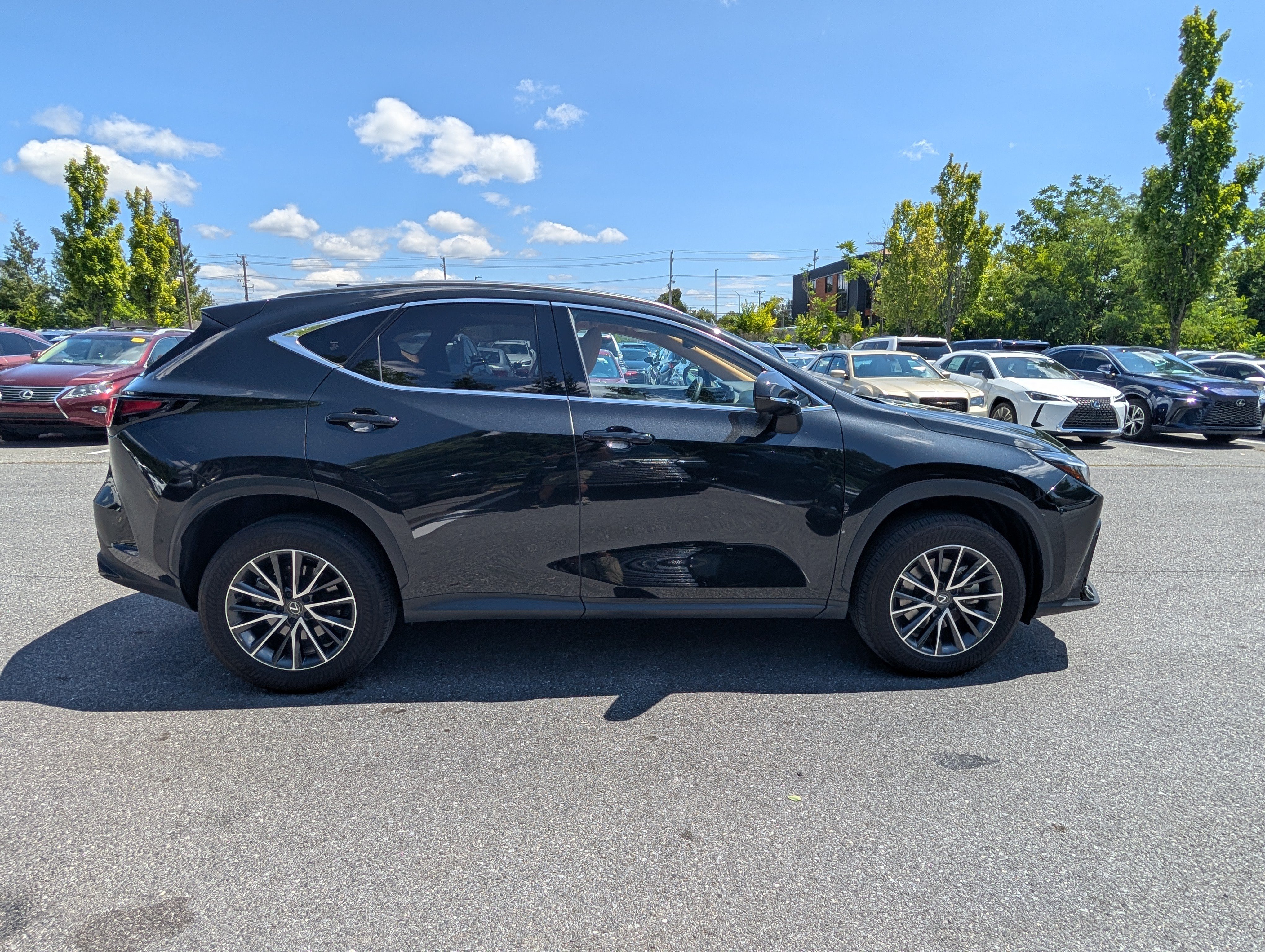 Certified 2024 Lexus NX 350h AWD image 2