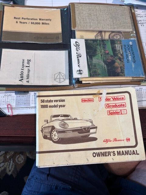 Used 1988 Alfa Romeo Spider Graduate image 5