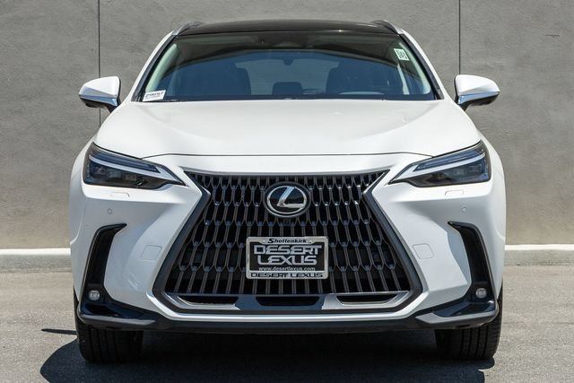 Used 2025 Lexus NX 350h AWD w/ Cold Area Package video 2