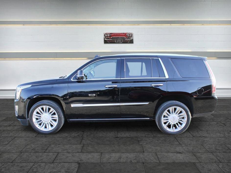 Used 2016 Cadillac Escalade Platinum RWD image 4