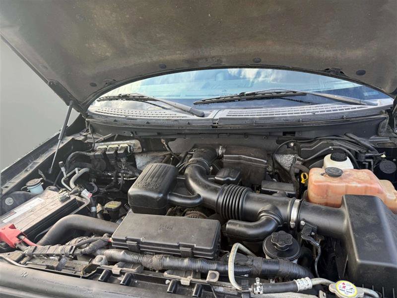 Used 2010 Ford F150 Platinum image 15