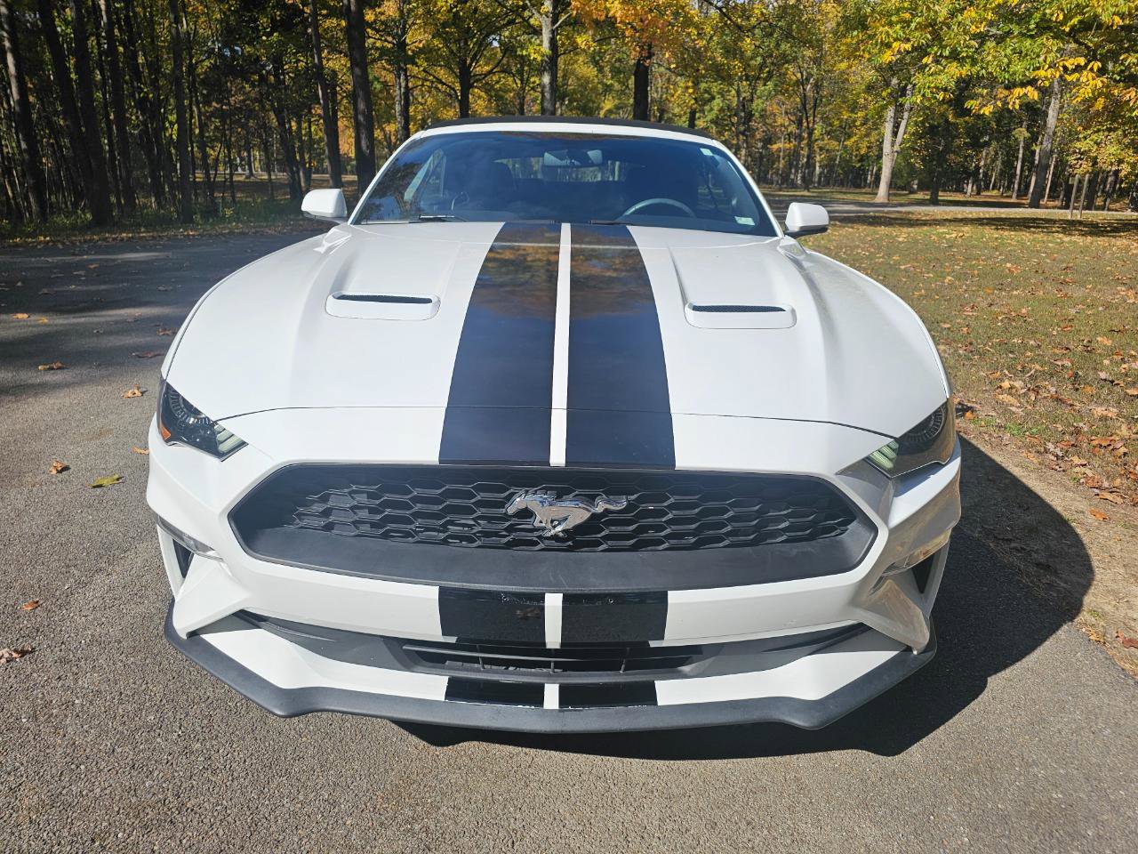 Used 2018 Ford Mustang Premium RWD image 13