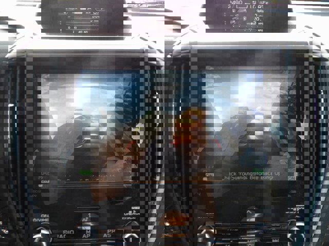 Certified 2025 Subaru Forester Wilderness w/ Wilderness Package image 19