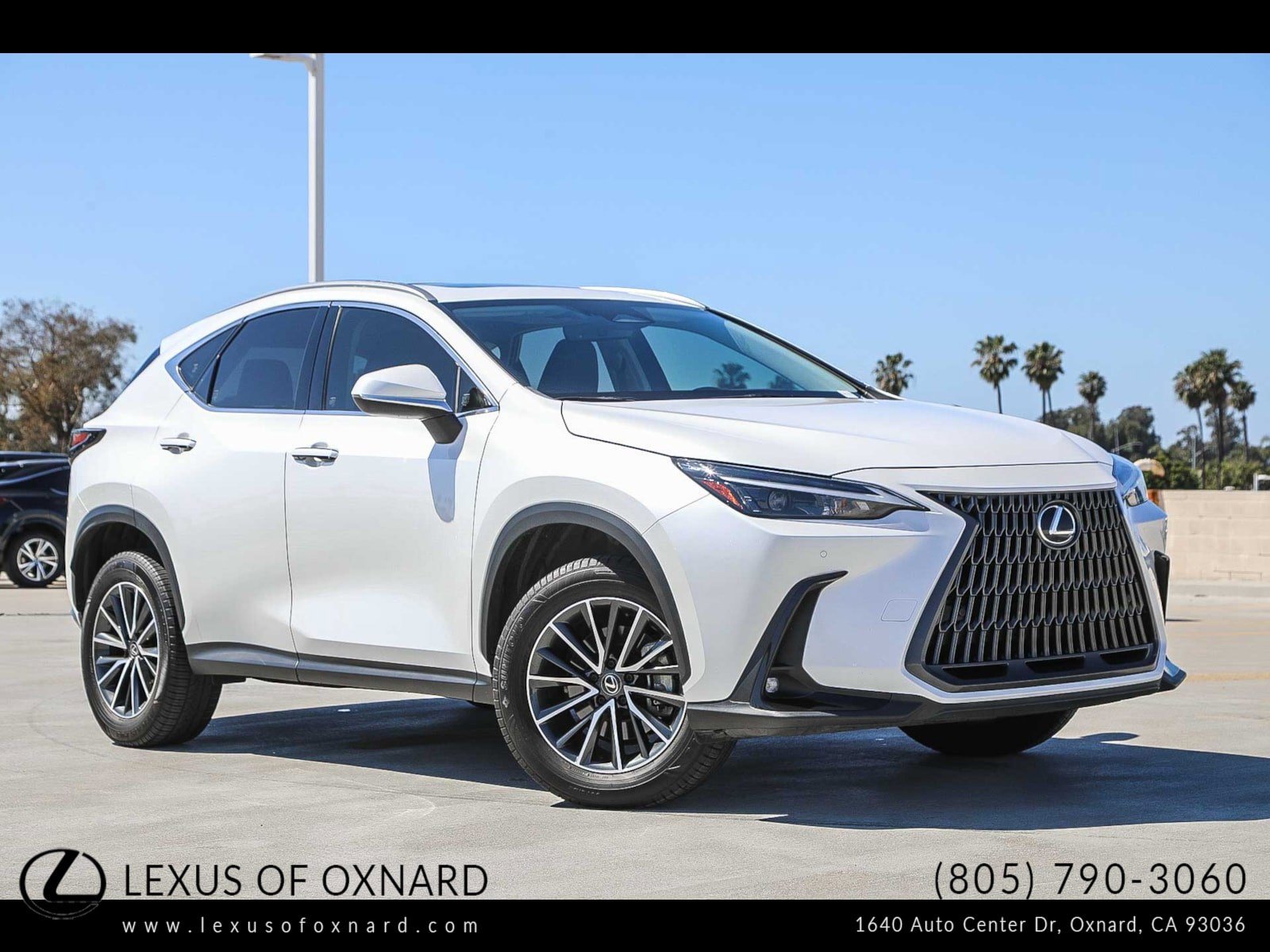 Used 2024 Lexus NX 350 AWD w/ Cold Area Package