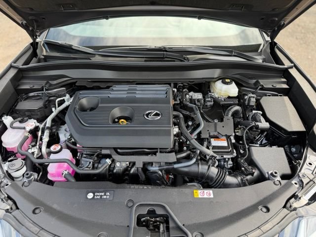 Certified 2025 Lexus UX 300h AWD w/ Accessory Package (Z1) image 13