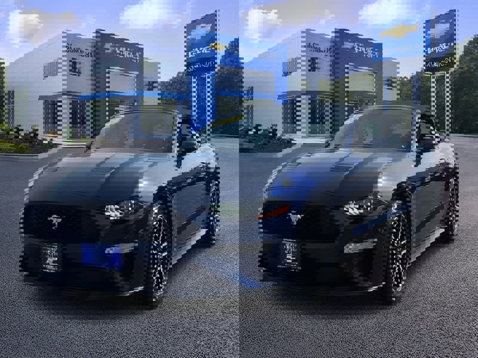 Used 2019 Ford Mustang Premium