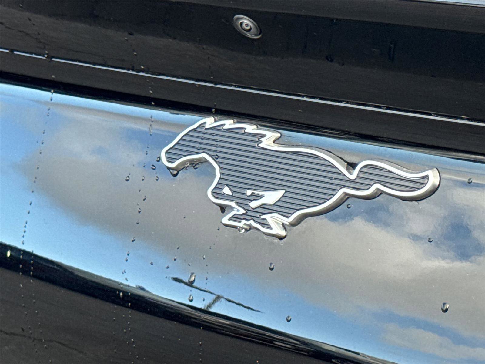 Used 2023 Ford Mustang Mach-E Premium RWD image 13