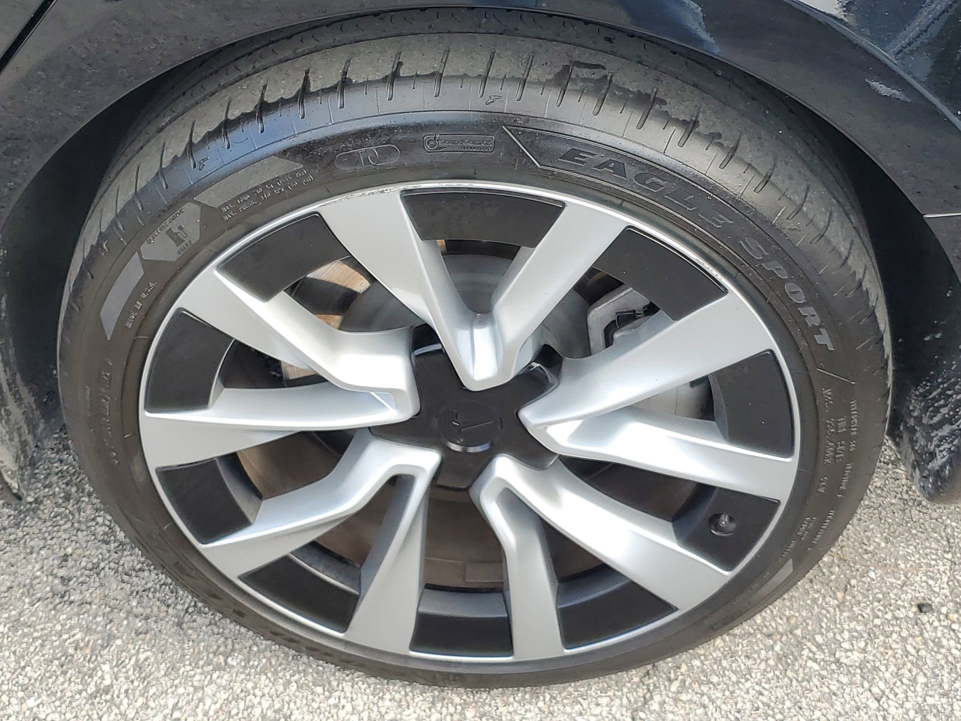 Used 2025 Tesla Model 3 image 5