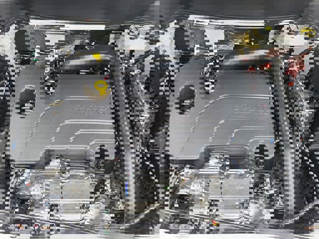 New 2026 GMC Terrain Elevation w/ Elevation Premium Package image 23