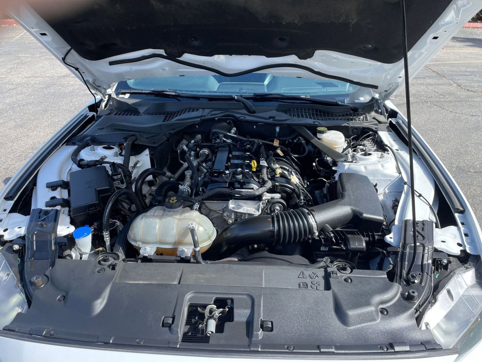 Used 2023 Ford Mustang Premium image 31