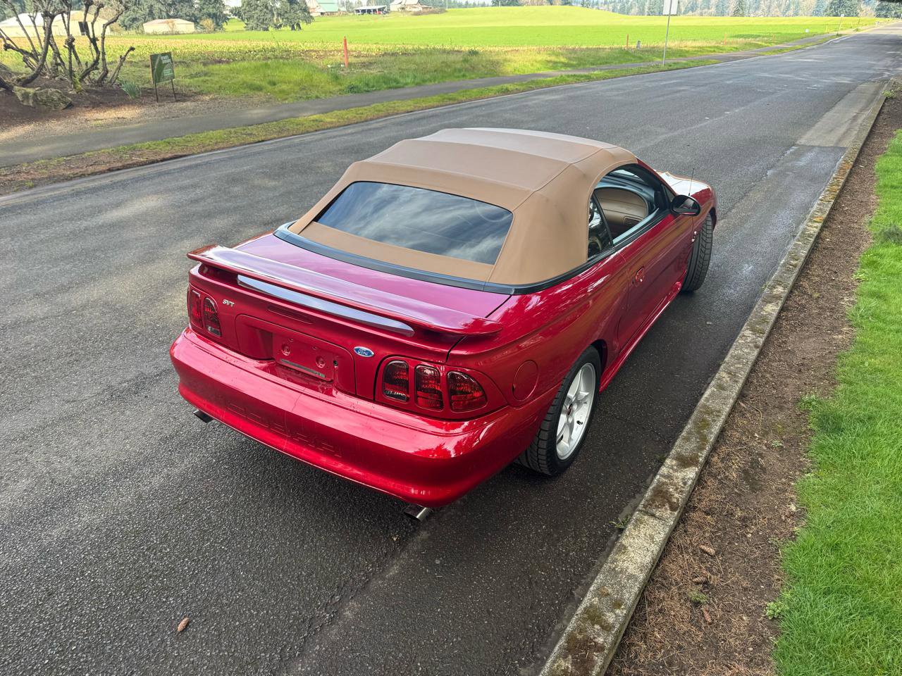 Used 1996 Ford Mustang Cobra RWD image 5
