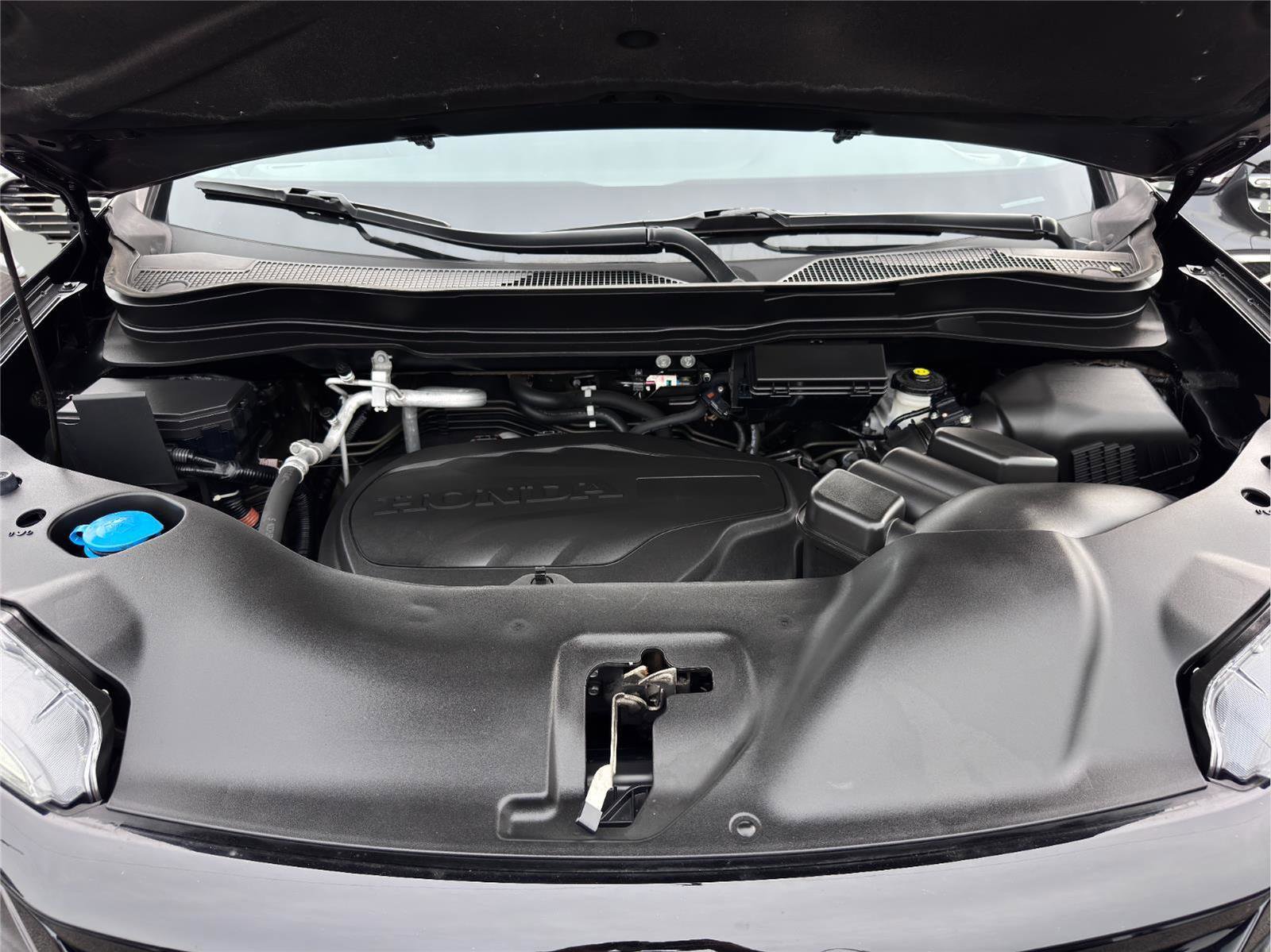 Used 2022 Honda Pilot Special Edition image 24