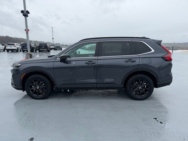 Certified 2024 Honda CR-V Sport image 3