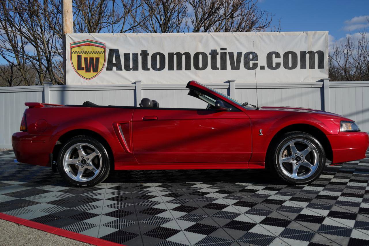 Used 2001 Ford Mustang Cobra image 4