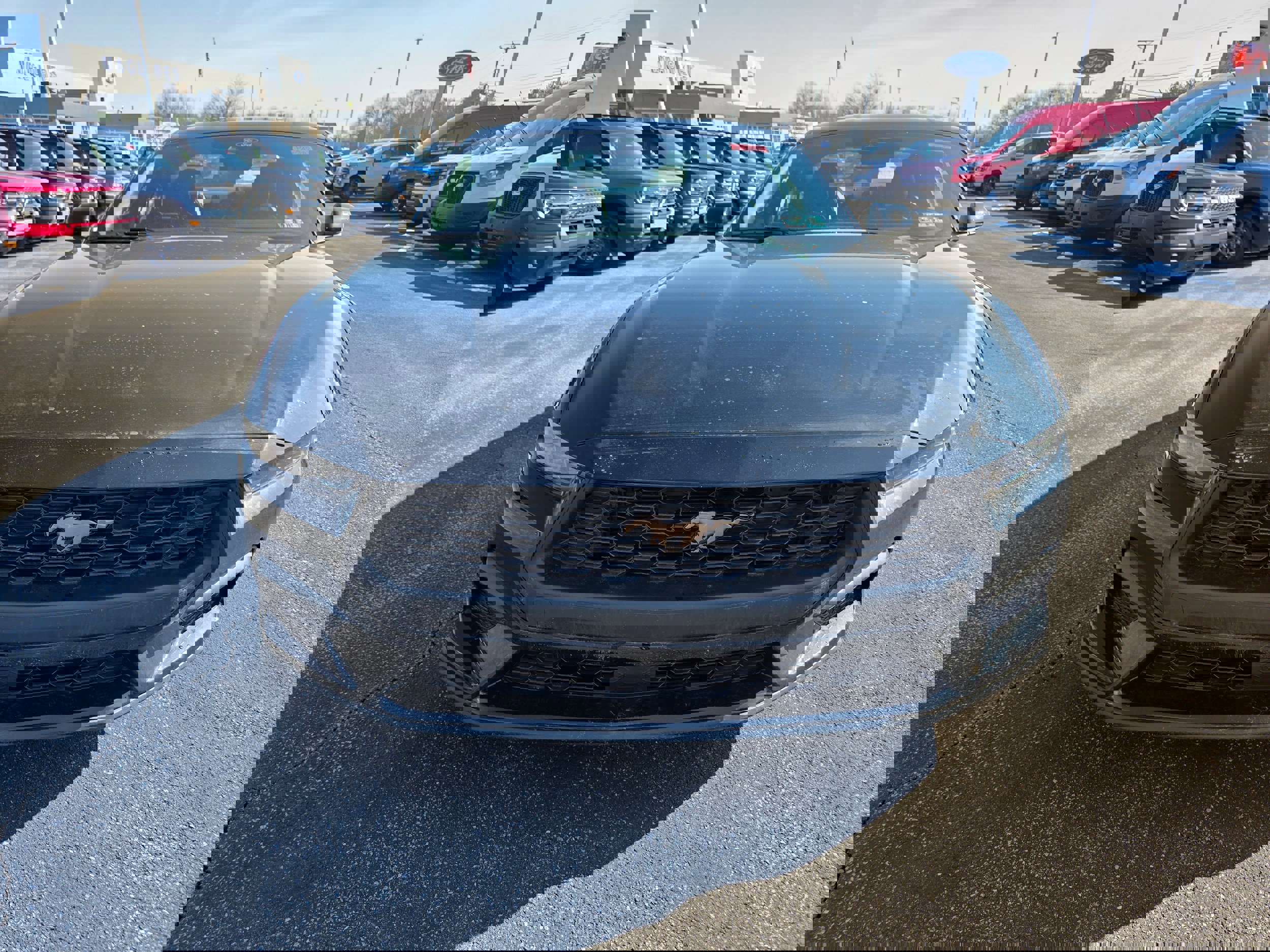 New 2026 Ford Mustang Premium image 13