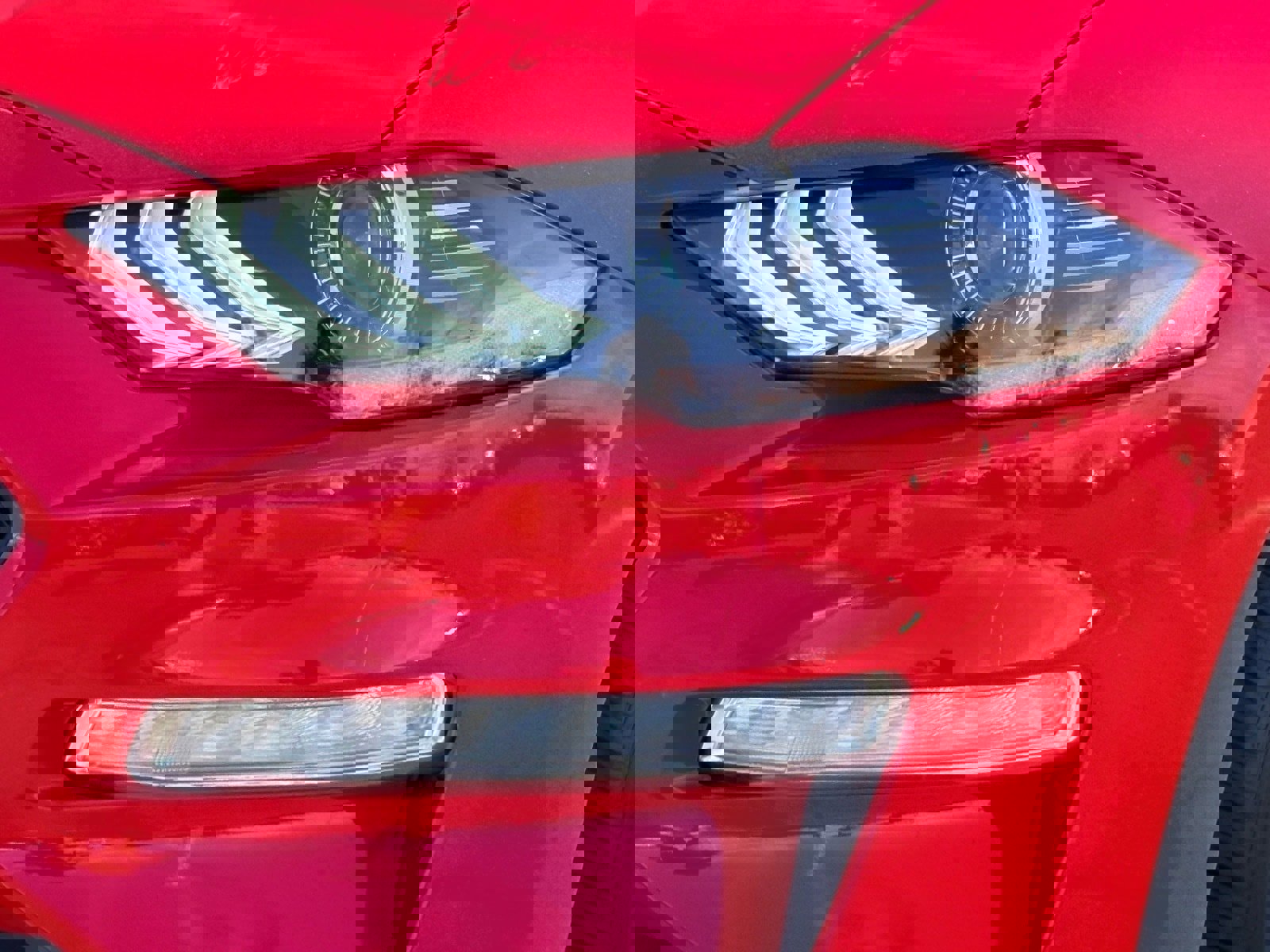 Used 2019 Ford Mustang Coupe image 32