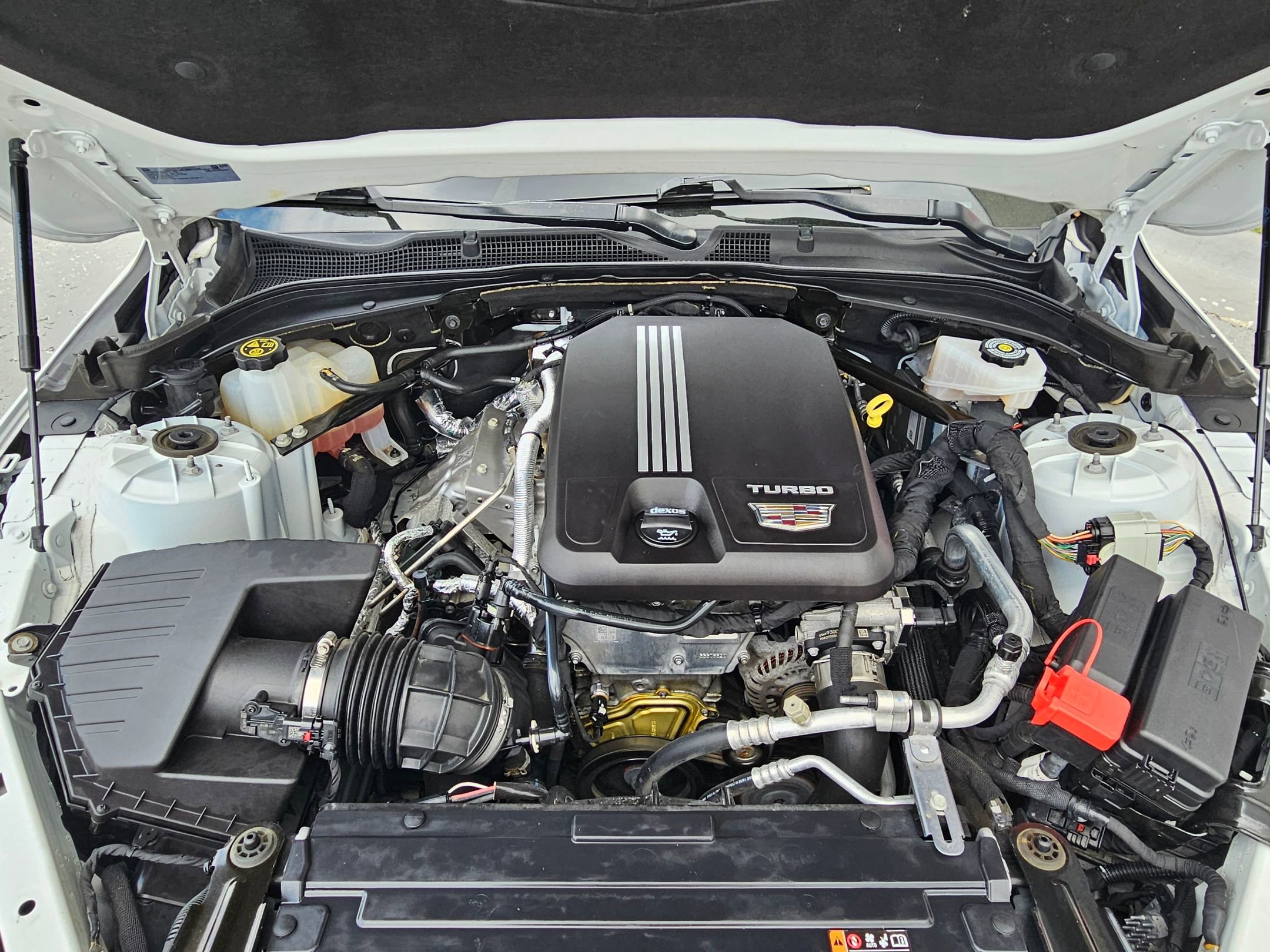 Used 2023 Cadillac CT4 Premium Luxury w/ Climate Package image 32