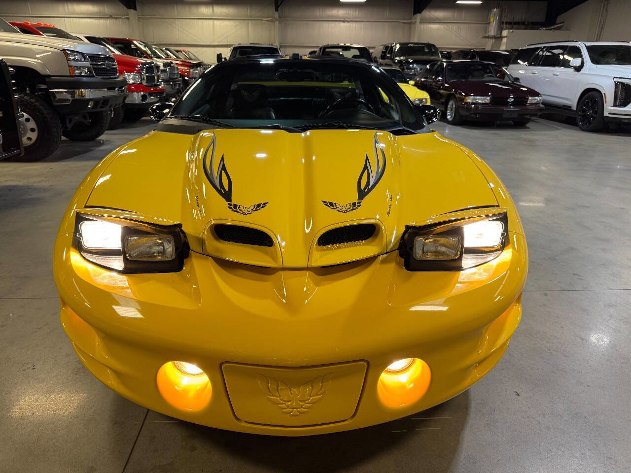 Used 2002 Pontiac Firebird Trans Am image 13
