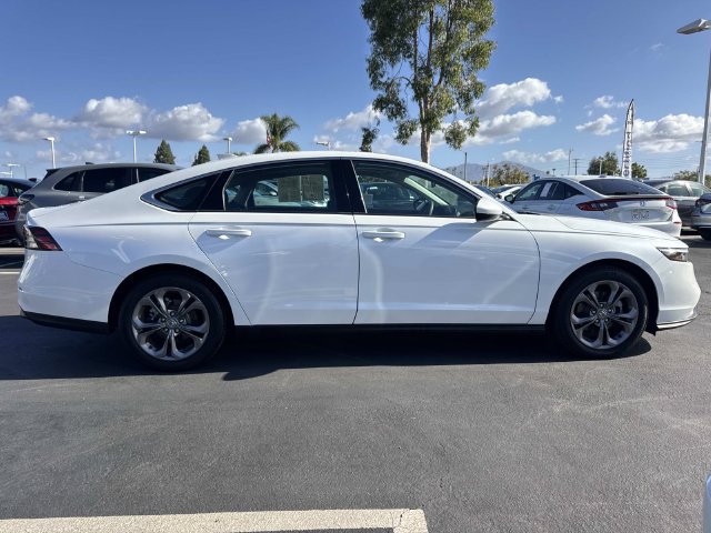 Certified 2024 Honda Accord EX image 6
