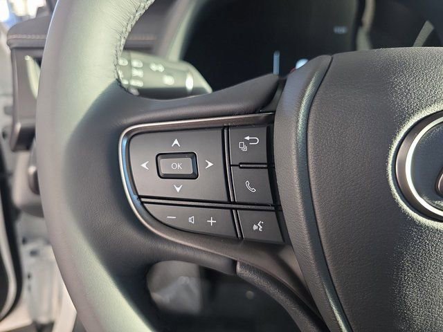 New 2025 Lexus UX 300h AWD w/ Cold Area Package image 17