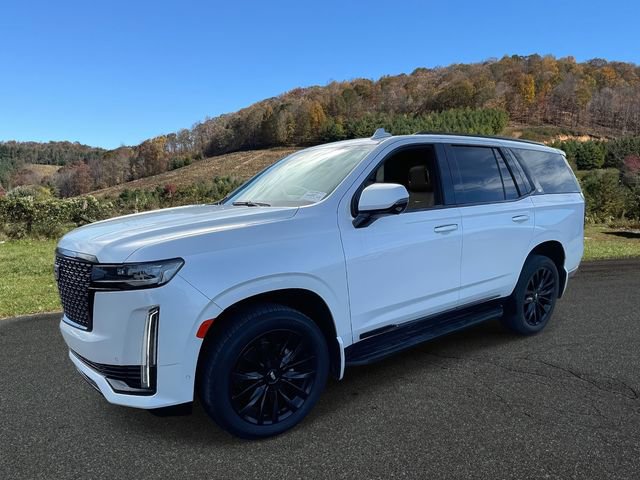 Used 2023 Cadillac Escalade Premium Luxury image 3