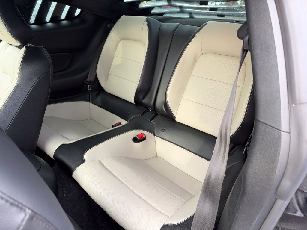 Used 2019 Ford Mustang Premium w/ Ford Safe & Smart Package RWD image 16