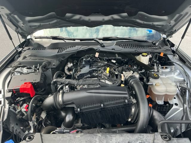 Certified 2024 Ford Mustang Premium RWD image 20