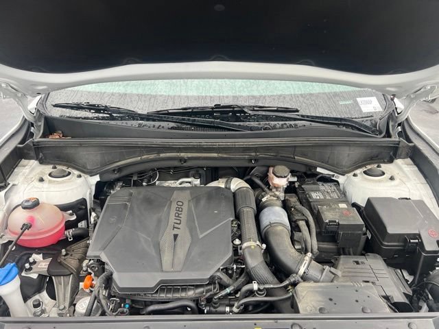 Used 2023 Kia Sorento X-Line EX AWD/4WD image 16