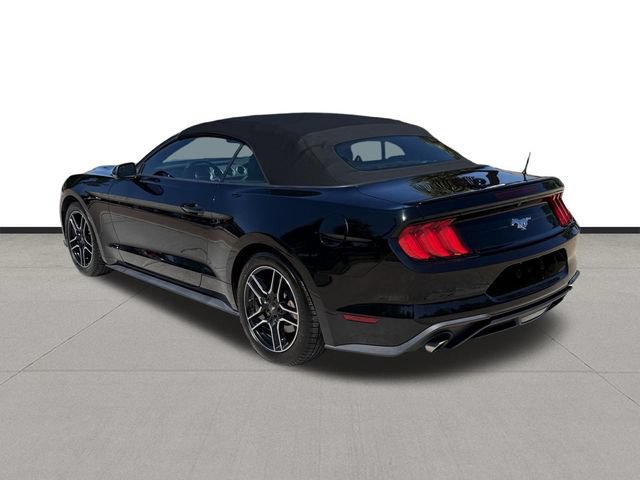 Used 2019 Ford Mustang Premium RWD image 7