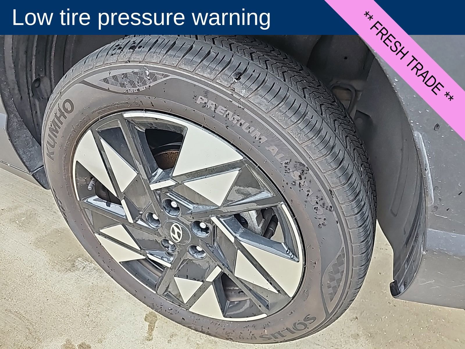 Certified 2024 Hyundai Kona SEL w/ Convenience Package image 8