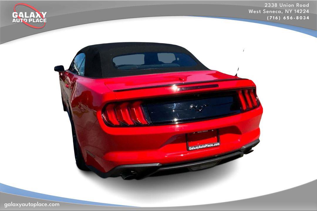 Used 2019 Ford Mustang Convertible w/ Equipment Group 101A RWD image 7