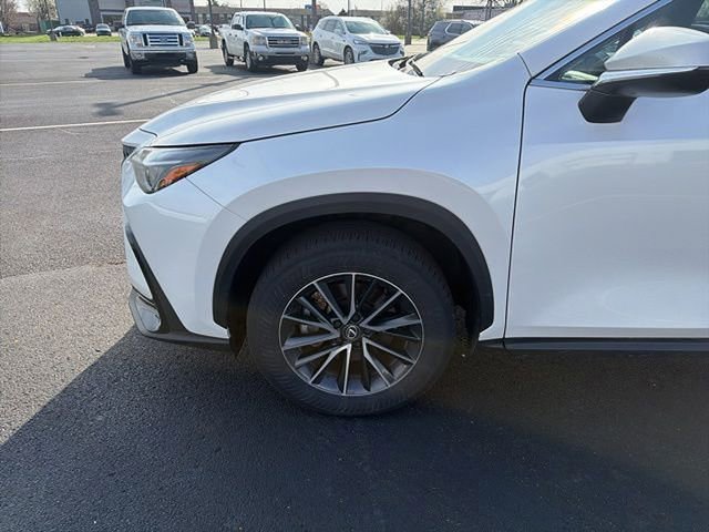 Used 2024 Lexus NX 350h 350h Base w/ Cold Area Package image 6