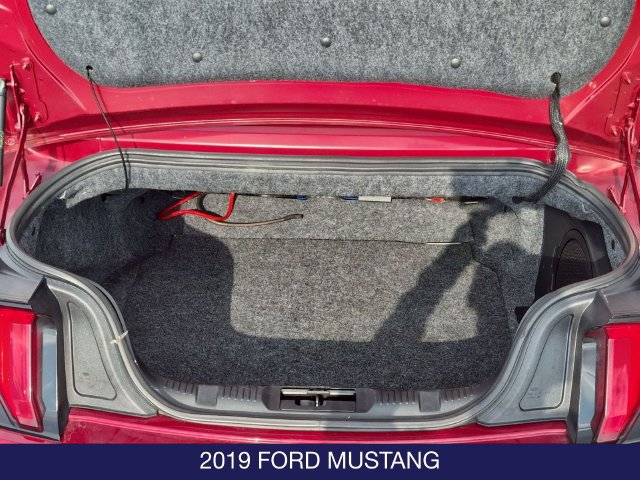 Used 2019 Ford Mustang Premium w/ Ecoboost Performance Package RWD image 10