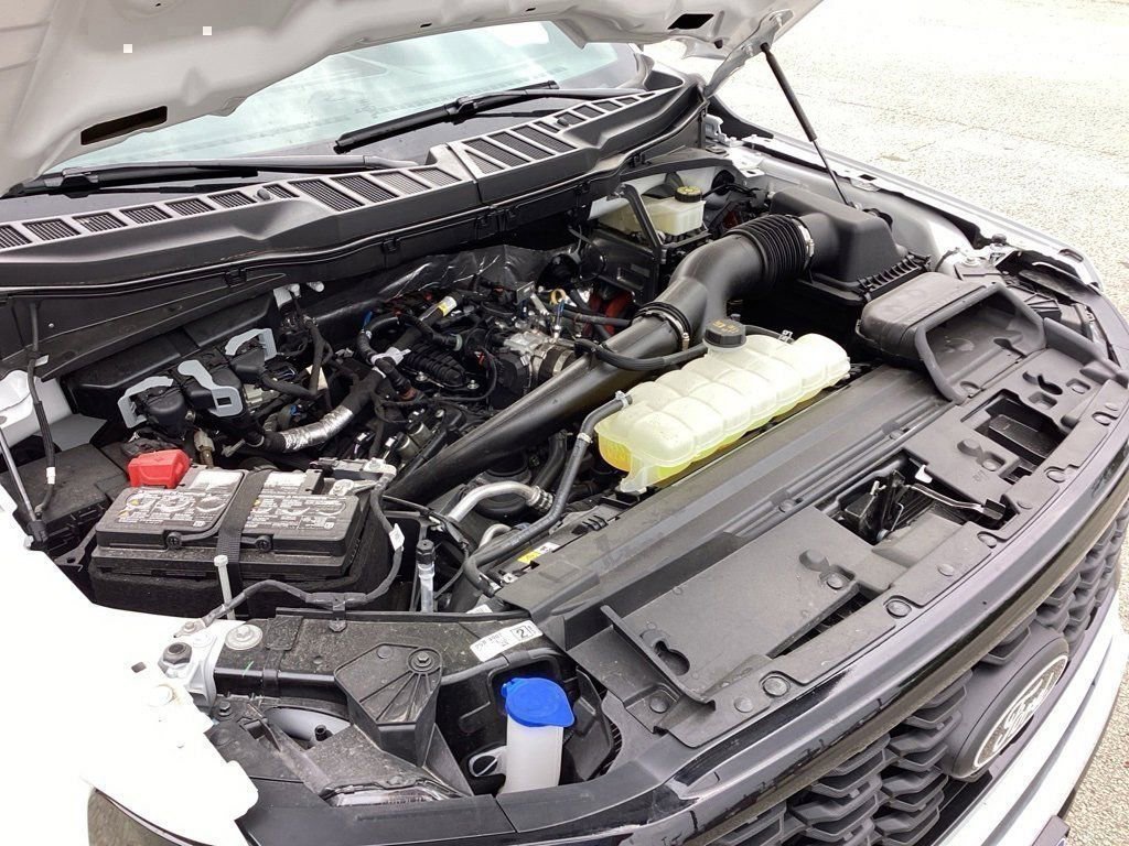 New 2024 Ford F150 STX w/ STX Black Appearance Package image 17