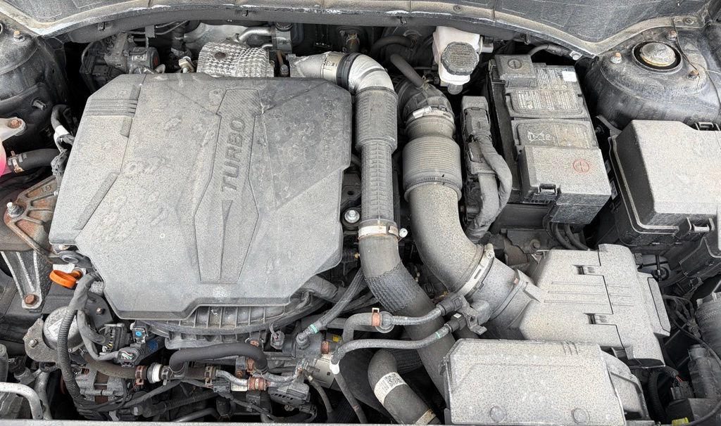 Used 2022 Kia Sorento X-Line EX AWD/4WD image 8